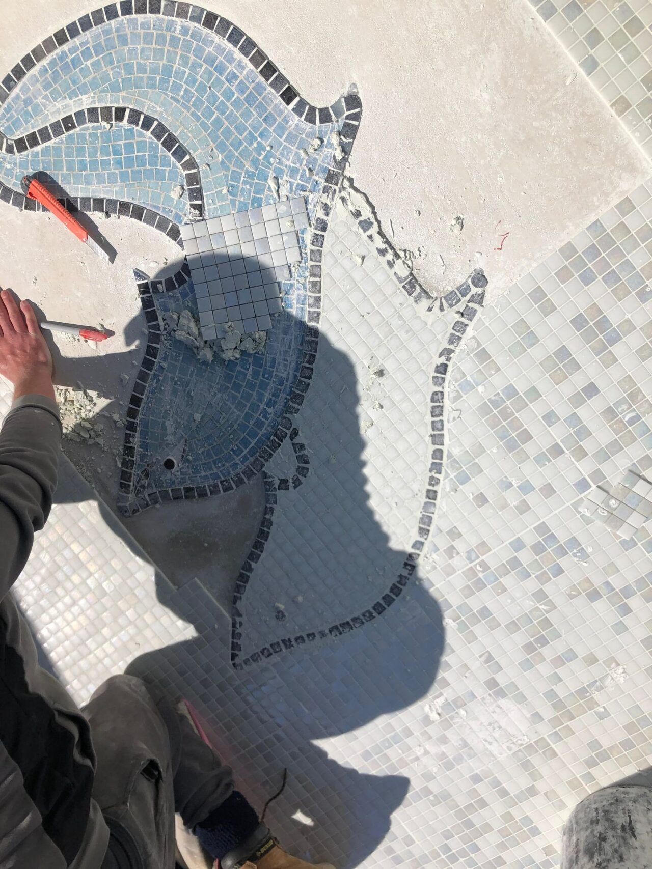 While retaining the original dolphin motif, we refreshed the artistic renderings with modern contour detailing While retaining the original dolphin motif, we refreshed the artistic renderings with modern contour detailing
